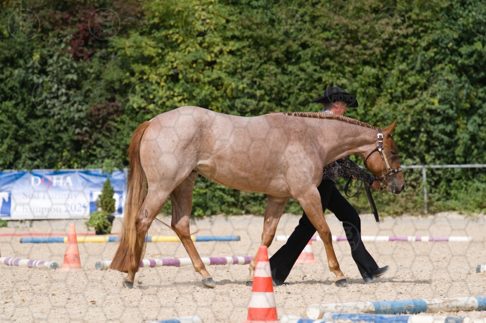 s_batch_A9_00043.jpg